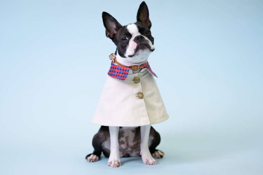ビスポークドックウェア 愛犬用のお洋服｜オーダーメイド