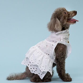 ビスポークドックウェア 愛犬用のお洋服｜オーダーメイド